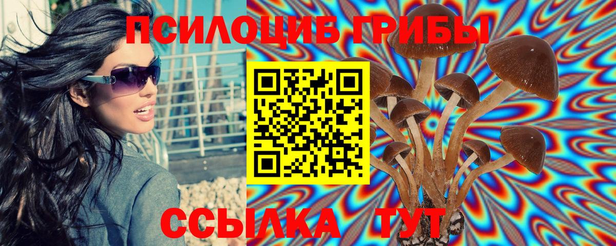 Галлюциногенные грибы Cubensis Тольятти